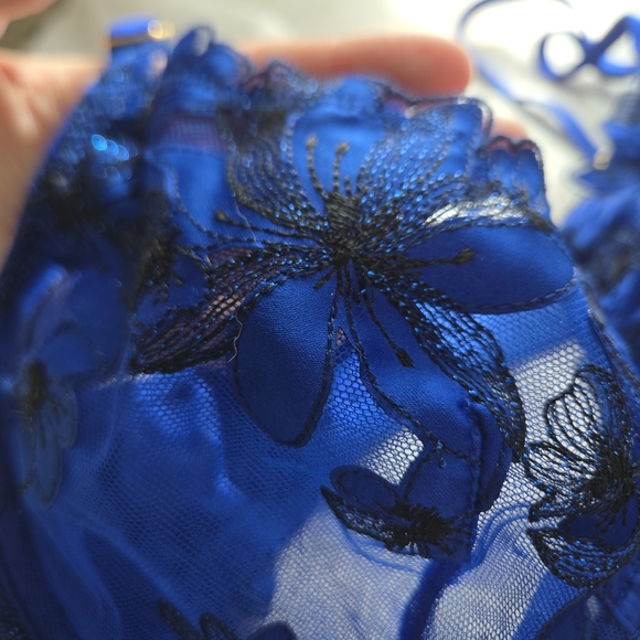 Victoria’s Secret Blue Embroidered Mesh Bra & Panty Set 34C S/M — Dream Angels - Picture 3 of 10
